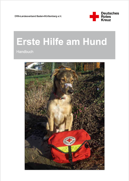 Erste Hilfe am Hund